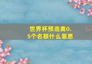 世界杯预选赛0.5个名额什么意思