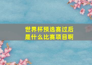 世界杯预选赛过后是什么比赛项目啊