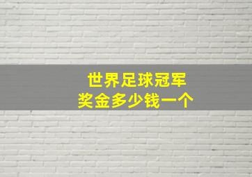 世界足球冠军奖金多少钱一个