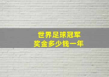 世界足球冠军奖金多少钱一年