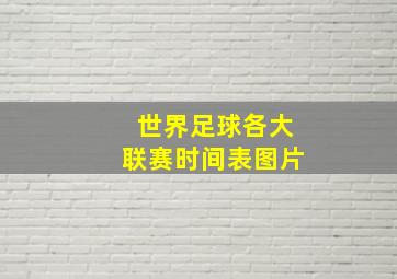 世界足球各大联赛时间表图片