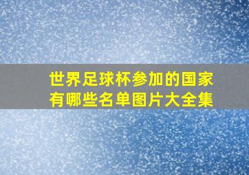 世界足球杯参加的国家有哪些名单图片大全集