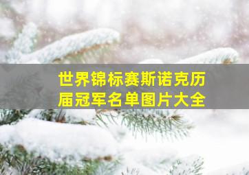 世界锦标赛斯诺克历届冠军名单图片大全