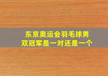 东京奥运会羽毛球男双冠军是一对还是一个