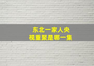 东北一家人央视重聚是哪一集