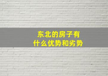 东北的房子有什么优势和劣势