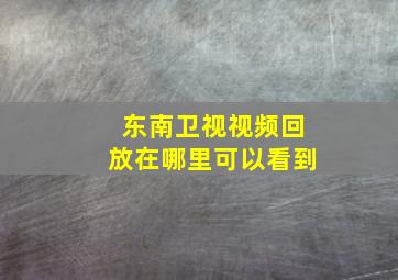 东南卫视视频回放在哪里可以看到