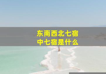 东南西北七宿中七宿是什么