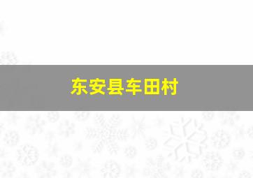 东安县车田村