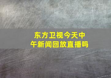 东方卫视今天中午新闻回放直播吗