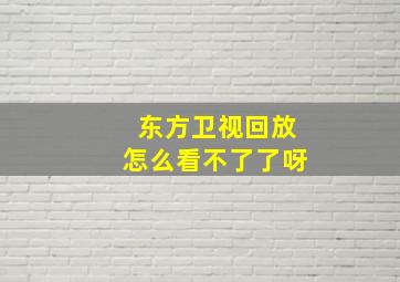 东方卫视回放怎么看不了了呀