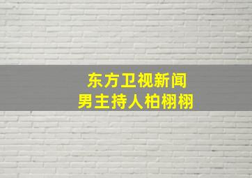 东方卫视新闻男主持人柏栩栩