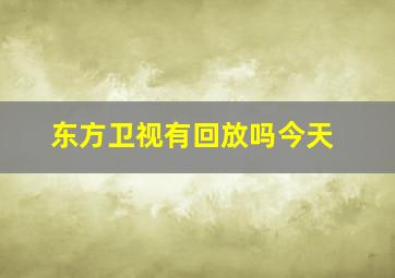 东方卫视有回放吗今天