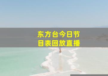 东方台今日节目表回放直播