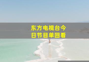 东方电视台今日节目单回看