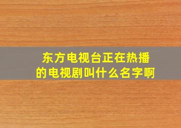 东方电视台正在热播的电视剧叫什么名字啊