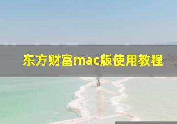 东方财富mac版使用教程