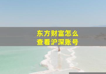 东方财富怎么查看沪深账号