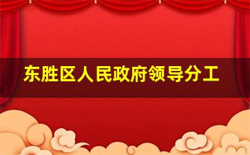 东胜区人民政府领导分工