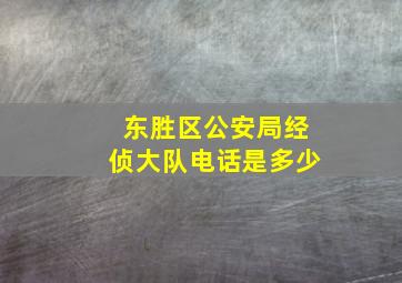 东胜区公安局经侦大队电话是多少