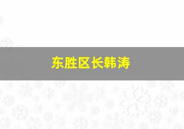 东胜区长韩涛