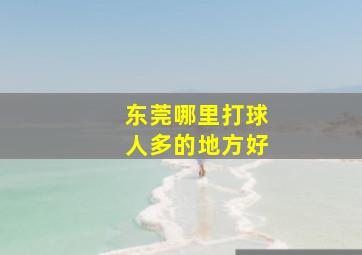 东莞哪里打球人多的地方好