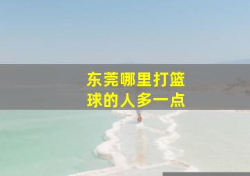 东莞哪里打篮球的人多一点