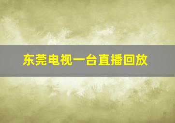 东莞电视一台直播回放