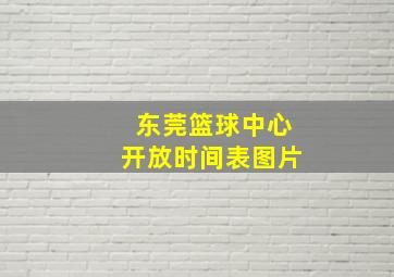 东莞篮球中心开放时间表图片