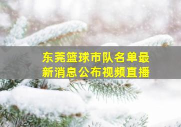 东莞篮球市队名单最新消息公布视频直播