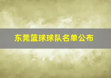 东莞篮球球队名单公布