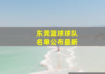 东莞篮球球队名单公布最新