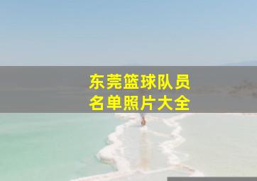 东莞篮球队员名单照片大全