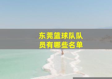 东莞篮球队队员有哪些名单