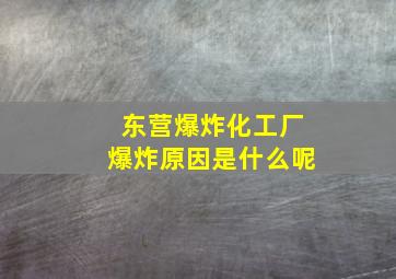 东营爆炸化工厂爆炸原因是什么呢