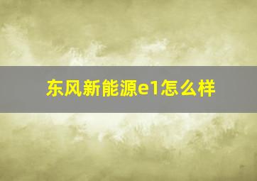 东风新能源e1怎么样