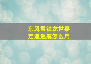 东风雪铁龙世嘉定速巡航怎么用