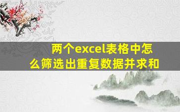 两个excel表格中怎么筛选出重复数据并求和