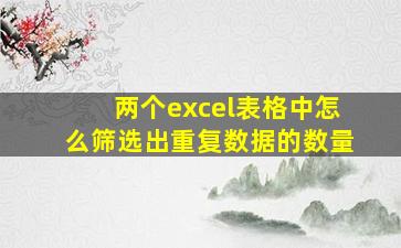 两个excel表格中怎么筛选出重复数据的数量