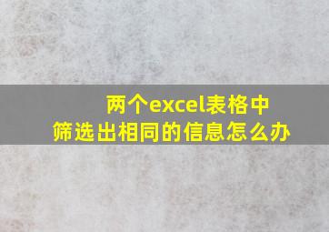 两个excel表格中筛选出相同的信息怎么办