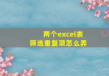 两个excel表筛选重复项怎么弄