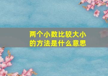 两个小数比较大小的方法是什么意思