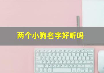 两个小狗名字好听吗