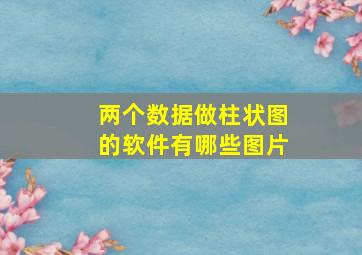 两个数据做柱状图的软件有哪些图片