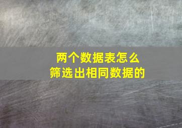 两个数据表怎么筛选出相同数据的