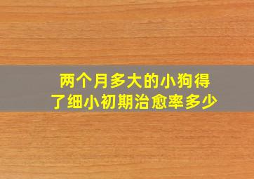 两个月多大的小狗得了细小初期治愈率多少