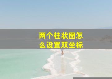 两个柱状图怎么设置双坐标