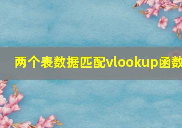 两个表数据匹配vlookup函数