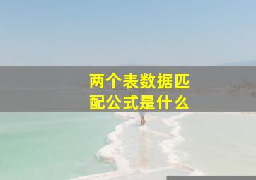 两个表数据匹配公式是什么