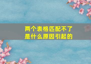 两个表格匹配不了是什么原因引起的